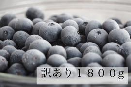 農薬不使用【訳あり】1800g大粒冷凍ブルーベリー