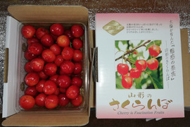 山形県産さくらんぼ　紅秀峰2Lサイズ500g