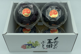 氷温ぶどうニューピオーネ（摘み落とし・４パック（1パック160g前後））