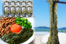 【夏に嬉しい、低カロリー＆栄養満点！】 粘りあかもく１８０ｇ×１０個 便利なパウチタイプ