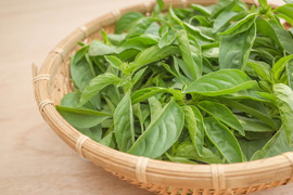 採れたて！新鮮ライムバジル 100g 【農薬化学肥料不使用】