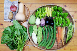 【農薬化学肥料不使用】おまかせ野菜セット【８種類以上の野菜】【金曜日発送】【熨斗(のし)対応可】【８０サイズ箱】