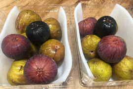 イチジク3種食べ比べ 糖度18%以上 ねっとり甘い 樹上完熟 朝採れイチジク800g(バナーネ・姫蓬莱・ヌアールドカロン) 栽培時農薬不使用