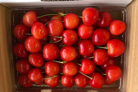 ★朝どり当日発送★さくらんぼ(紅秀峰) 400g お土産　L サイズ以上！バラ詰め★お中元★　贈答用にも