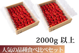 【食べ比べ】大満足の2000g食べ比べセット！人気品種「紅ほっぺ」1000g+静岡限定品種「きらぴ香」1000g or 希少品種「おいCベリー」1000gのどちらかのランダムパック!
