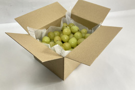 葡萄「シャインマスカット」　家庭用　約700g