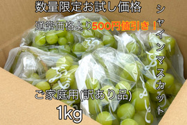 【数量限定お試し価格】シャインマスカットご家庭用(訳あり品)　3200円→2700円　1kg〜1.2kg(3〜5房) 平均糖度20度前後