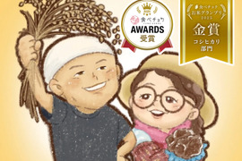 【令和７年新米】　新潟県産コシヒカリ　反町の【玄米】はとても食べやすいですよ（２０㎏）