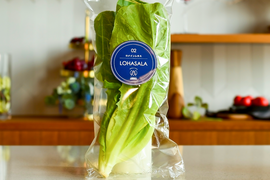 【シーザーサラダにピッタリ】LED光栽培野菜LOHASALA ロメインレタスセット(12個入/合計約960g個包装)　洗わずに食べられて 一年中"旬"の味！
