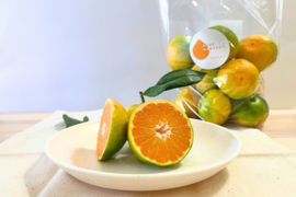 【予約早割・100箱限定】薄皮で濃厚！和歌山・下津のゆら早生みかん 5kg【スタンダード】