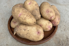 【新じゃが・はるか】5kg　しっとり甘い新品種のじゃがいも