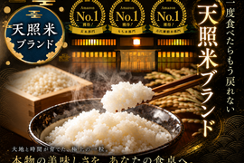 🎊やみつきリピーター続出中🎊二千年の伝統に裏打ちされた幻の天照ブランド米【お試し約2㎏】6月中旬発送