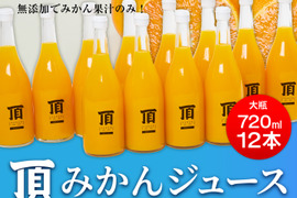 【お中元】頂みかんジュース 12本入り （1本720ml）