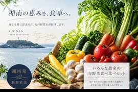 いろんな農家の旬野菜食べ比べBOX