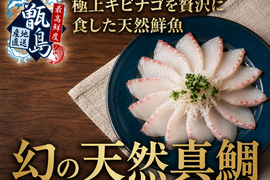 【高級料亭の味をたらふく満喫】市場になかなか出回らない鮮魚『幻の甑島天然真鯛』業界初パウダースノー冷凍で最高鮮度でお届け🐟刺し盛り大容量パッケージ約600g甑島ブランド【6月上中旬予約】