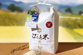 きわだつ大粒！令和6年産【極】白米・2kg　特別栽培米　こぴっと米