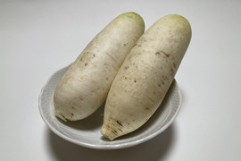 おろしそばに最適! 福井県産 辛味大根(品種名:味辛) 400~600g