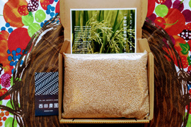 【新米】【メール便】北海道・西日本（近畿を除く）の方向け専用【玄米2kg 】特別栽培米コシヒカリ・令和5年産 ・有機・低農薬
