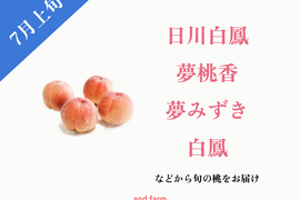 【7月上旬発送】桃好き必見！桃のリレーが楽しめる！季節の【桃】おうち用（もも）お試しセット 約2kg 約5~8玉