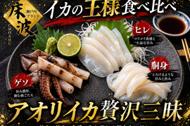 👑頂点を極める三味の真髄👑極上の贅と技が織りなす天然国産『アオリイカ 贅沢三味食べ比べセット』長州床波ブランド一押しの超豪華セット🌊約200g×3種【6月下旬予約】