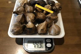 M自然栽培　黒にんにく　小さめあり18個　良い仕上がりです 人気の黒ニンニクです　食べやすくて美味しい