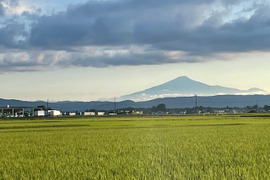 お米５kgと黒にんにくセット