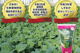 【TV紹介で大好評】【ミシュラン星獲得レストランで採用】おいしさで、ケールに革命を。【機能性表示食品】ソフトケールGABA（500g）静岡県磐田市産【おまけ付】