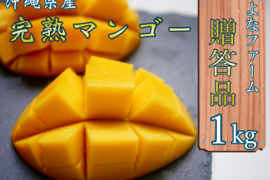 【2022年順次発送】沖縄県産完熟マンゴー1kg （贈答用）よなファーム八重瀬