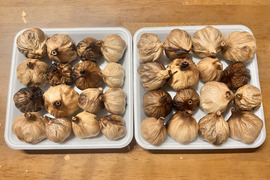 京都府のにんにくで産地直送の商品｜食べチョク｜産地直送(産直)お