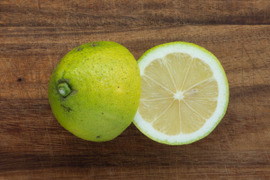 【広島県産】瀬戸田しまなみレモンC品(10kg) 栽培期間中農薬不使用