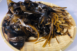 2月初旬〜順次発送【今が旬！】　早採り生わかめ　2ｋｇ