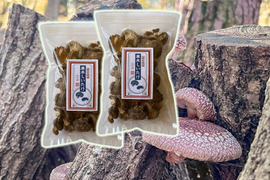 うまさ凝縮！熊本県産原木乾燥しいたけ【小袋】140ｇ（70ｇ×2個）