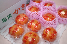 冷蔵柿（富有柿）10個入り×２箱　Lサイズ 　福岡県久留米市田主丸町産
