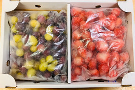 【2kg贅沢セット】完熟冷凍いちご1kg＆冷凍ぶどう1kg｜開花後化学農薬不使用（いちご）のピュアな美味しさ