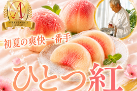 【初夏限定一番手の極早生桃】フルーツの楽園南アルプスから品種指定キャンペーン登場🍑『ひとつ紅』お試し特価キャンペーン約1.5kg【朝どれ】高級もも☆家庭用・贈り物にも贅沢お中元ギフト【6月下旬予約】