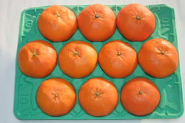 プチプチ甘～い！ひめまる甘平【特秀・贈答用３Kg】