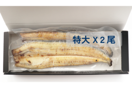 【母の日フェア開催中】2024年度新仔！丸和うなぎ白焼き(特大サイズ) X 2尾　※1尾 190g (感謝の気持ちを込めた贈答対応可)