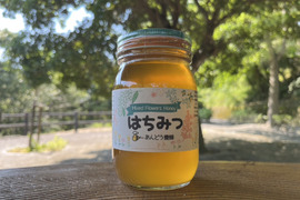【添加物なし】天然はちみつ 600g 蜂蜜 ハチミツ セイヨウミツバチ 国産