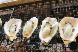 奥能登! 里海の恵み! 穴水産 旨味が詰まった美味しい真牡蠣(加熱用)約12キロ 容器:缶 個数(約80~90個)
