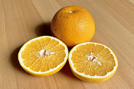 和歌山産】はっさく10キロ ★ほろ苦甘のクセになる美味しさ！とってもジューシー！