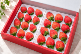 【予約販売 2026年11月下旬～順次発送】 特選あまおう 800g ギフト お歳暮