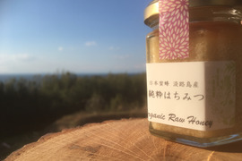 日本蜜蜂の生はちみつ(垂れ蜜、非加熱、淡路島産)1瓶