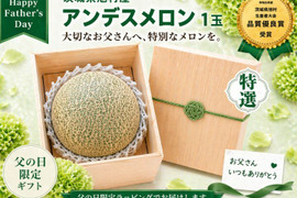 【桐箱入りギフト】茨城県旭産アンデスメロン【特秀】1玉