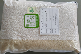 いのちの壱[精米・10kg/茨城県産/令和6年産] – 茨城県からお