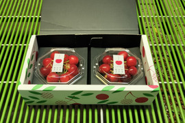 予約販売〈山形新さくらんぼ〉やまがた紅王 L~2L玉 220g ダイヤパック 6月中旬~7月上旬発送 さくらんぼ
