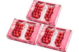 【予約販売 2026年11月下旬～順次発送】あまおう苺 人気の定番サイズ 270g×6パック デラックス等級