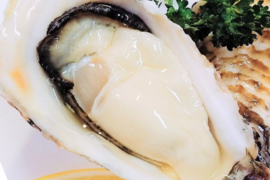 【春牡蠣】バージンオイスター20個 三陸宮城女川産 殻付き 生牡蠣 生食用 フレッシュで希少なカキ ギフト のし対応可