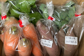 完売御礼【自然栽培】旬の野菜❗ 2月のおまかせセット（5品目・2kg）