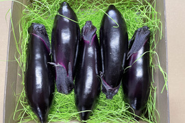 とげなしなす(5本)&ミニトマト(800g)セット