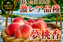 【山梨生まれ激レア品種】夢桃香🍑本場山梨の品種指定キャンペーン🍑お得な大容量パッケージ約2㎏🍑カリッと締まった果肉×豊かな甘み🍑6月下旬～発送🍑